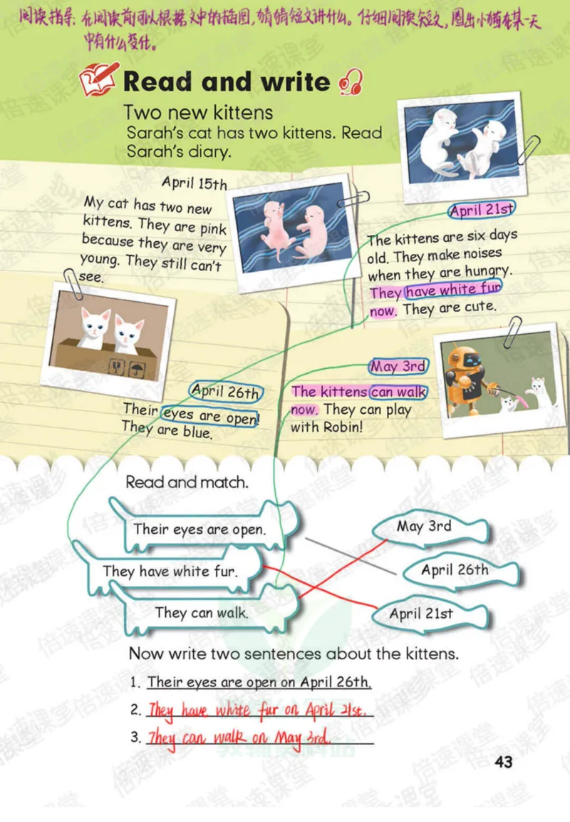 五年级下册英语人教PEP版课堂笔记_26春四年级上下册人教版_四上英语合集人教版PEP英语四年级上册新教材（教学视频+课件+动画+音频+练习+教案）_17练习资料_《课堂笔记》