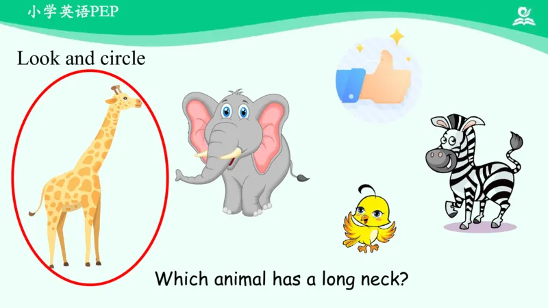 Recycle1Summary课件_26春四年级上下册人教版_四上英语合集人教版PEP英语四年级上册新教材（教学视频+课件+动画+音频+练习+教案）_19同步教案课件_人教pep3_3年级下册_PDF课件