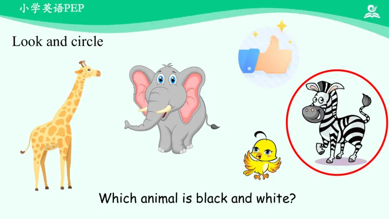 Recycle1Summary课件_26春四年级上下册人教版_四上英语合集人教版PEP英语四年级上册新教材（教学视频+课件+动画+音频+练习+教案）_19同步教案课件_人教pep3_3年级下册_PDF课件