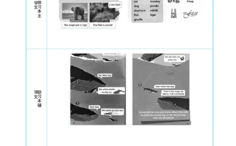 Unit3AmazinganimalsPartBStarttoread&CReadingtime大单元整体教学设计_26春四年级上下册人教版_四上英语合集人教版PEP英语四年级上册新教材（教学视频+课件+动画+音频+练习+教案）_人教pep3