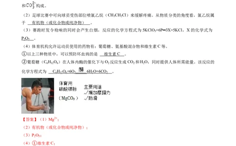 专题04化学与社会（解析版）_02中考总复习（2026版更新中）_05-化学-中考总复习_2024年中考复习资料_三轮复习_查漏补缺2024年中考化学复习冲刺过关（全国通用）_查补知识&bull;通关练