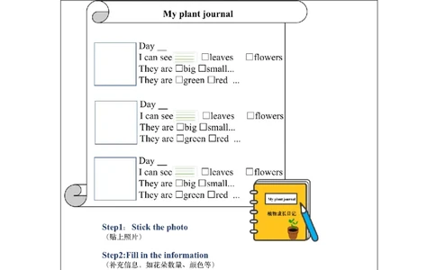 B-课后练习_26春四年级上下册人教版_四上英语合集人教版PEP英语四年级上册新教材（教学视频+课件+动画+音频+练习+教案）_17练习资料_小学英语（预习复习资料大礼包）_Unit6_980