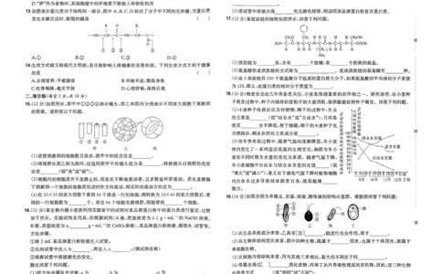 2025秋《一本&bull;初升高预备新高一》生物开学分班考_一本预备新高一语数英物化生25年