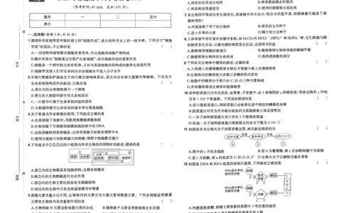 2025秋《一本&bull;初升高预备新高一》生物开学分班考_一本预备新高一语数英物化生25年