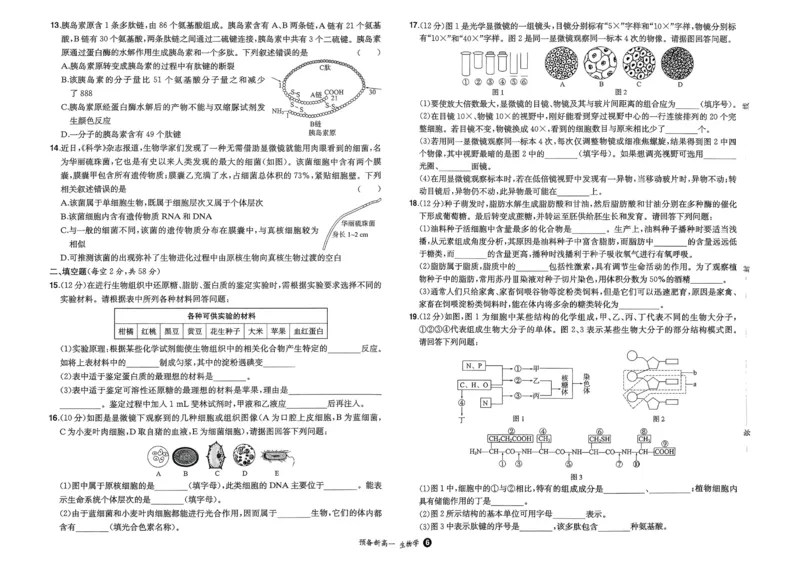 2025秋《一本&bull;初升高预备新高一》生物开学分班考_一本预备新高一语数英物化生25年