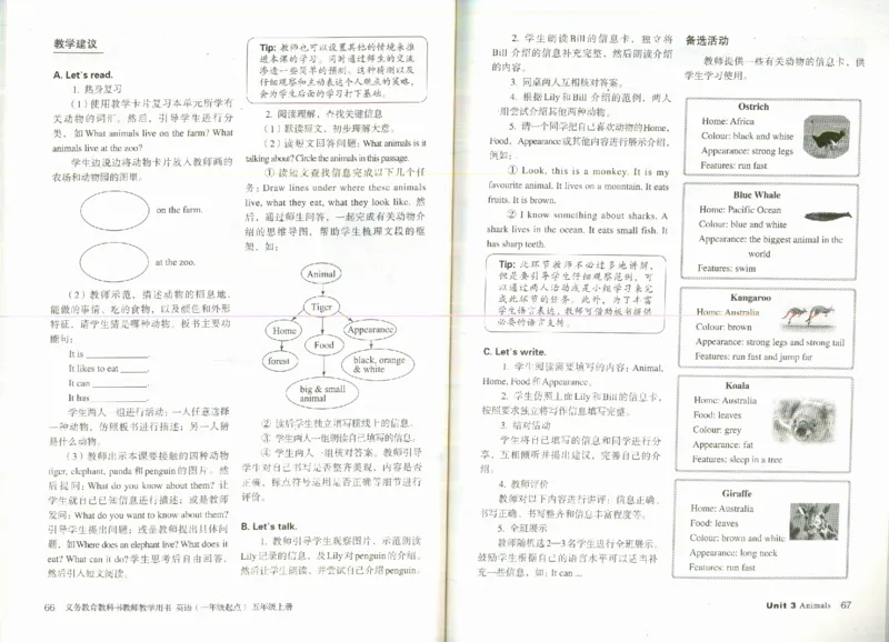 5上_26春四年级上下册人教版_四上英语合集人教版PEP英语四年级上册新教材（教学视频+课件+动画+音频+练习+教案）_16教师用书_小学英语_人教新起点小学英语（一起点）