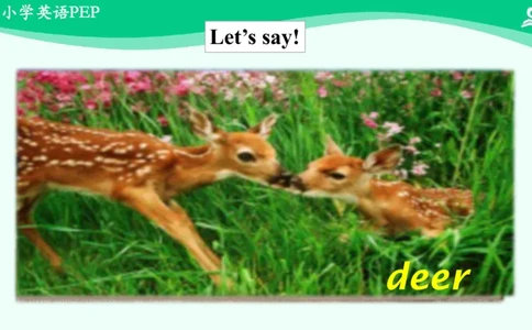 Unit3PartC课件_26春四年级上下册人教版_四上英语合集人教版PEP英语四年级上册新教材（教学视频+课件+动画+音频+练习+教案）_19同步教案课件_人教pep3_3年级下册_PDF课件