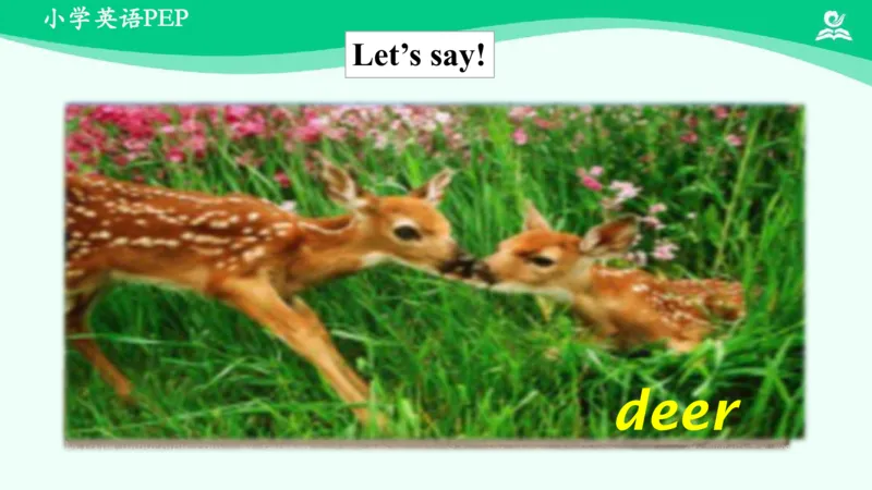 Unit3PartC课件_26春四年级上下册人教版_四上英语合集人教版PEP英语四年级上册新教材（教学视频+课件+动画+音频+练习+教案）_19同步教案课件_人教pep3_3年级下册_PDF课件