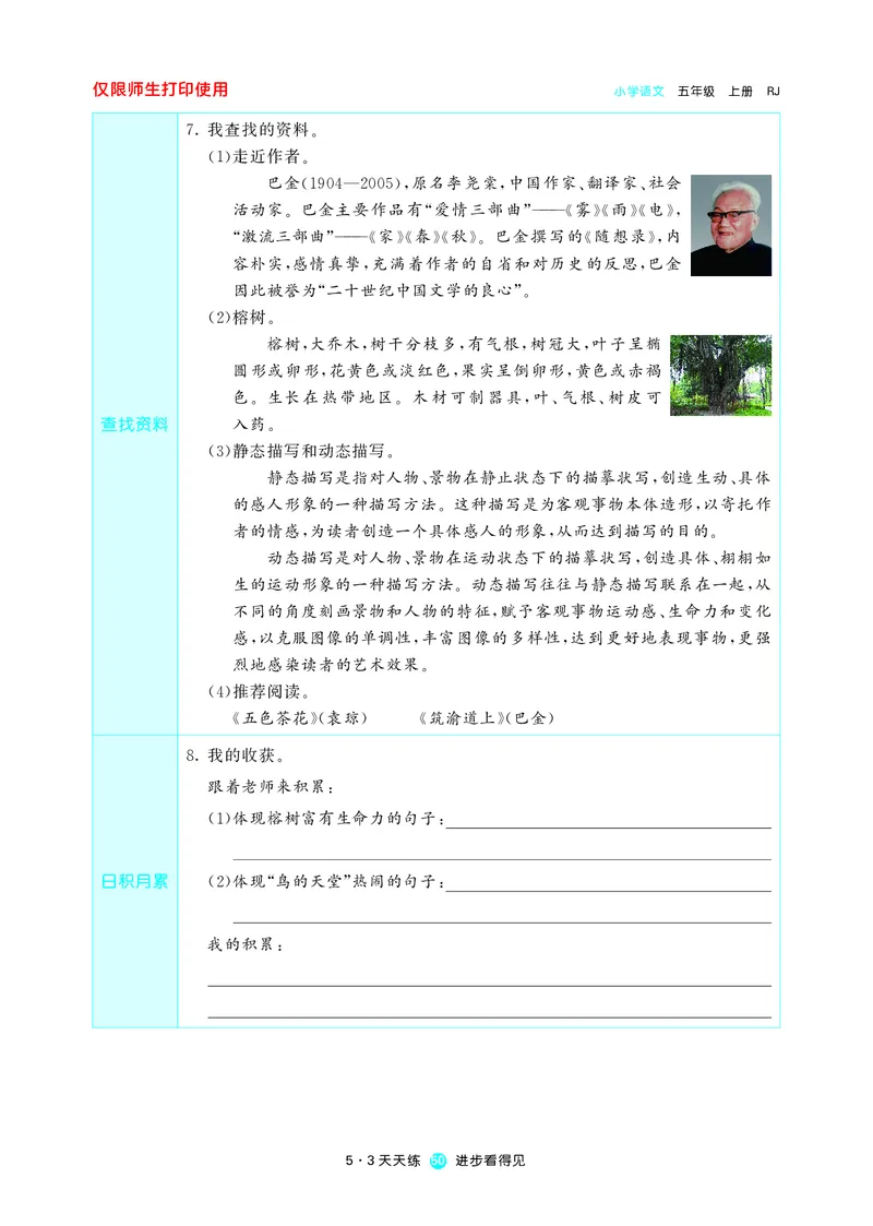 53预习单小学语文5年级上册_26春四年级上下册人教版_四上英语合集人教版PEP英语四年级上册新教材（教学视频+课件+动画+音频+练习+教案）_17练习资料_小学英语（预习复习资料大礼包）