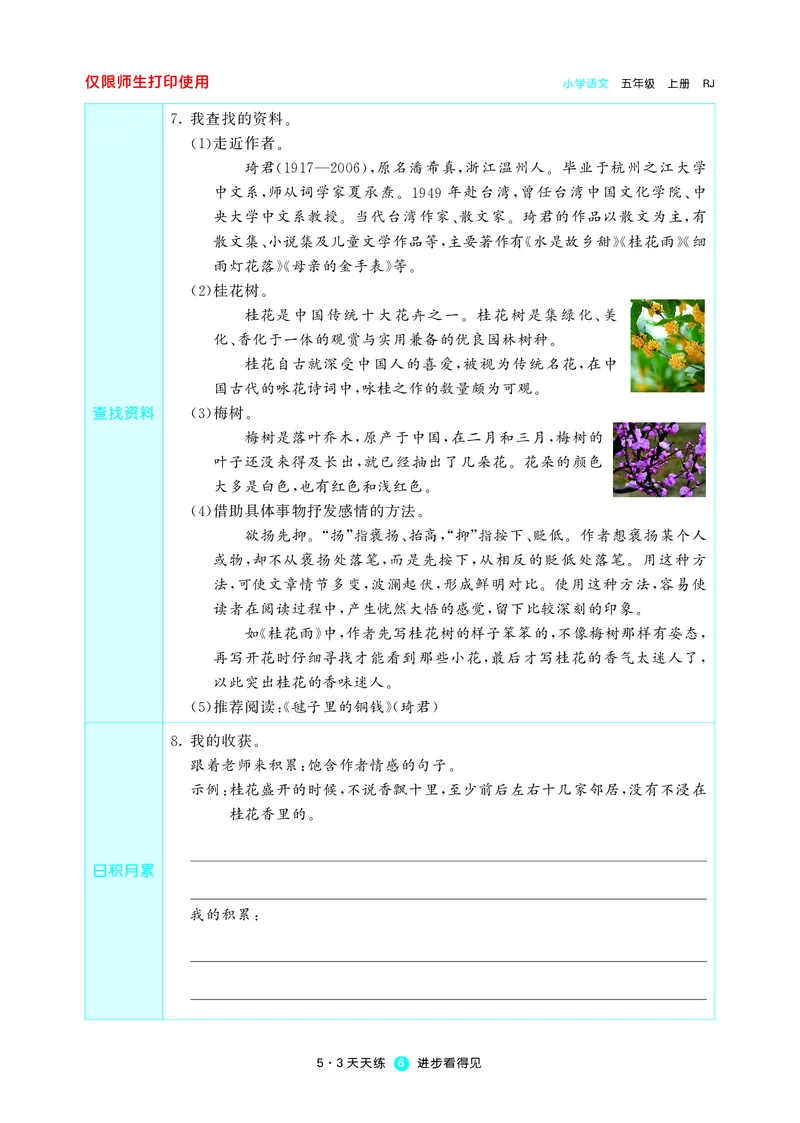 53预习单小学语文5年级上册_26春四年级上下册人教版_四上英语合集人教版PEP英语四年级上册新教材（教学视频+课件+动画+音频+练习+教案）_17练习资料_小学英语（预习复习资料大礼包）