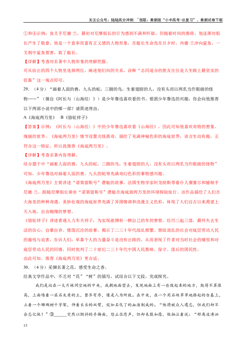 专题04《海底两万里》-2025年中考语文名著导读分层闯关训练（解析版）_02中考总复习（2026版更新中）_01-语文-中考总复习_2025年中考资料_2025年中考语文名著导读分层闯关训练