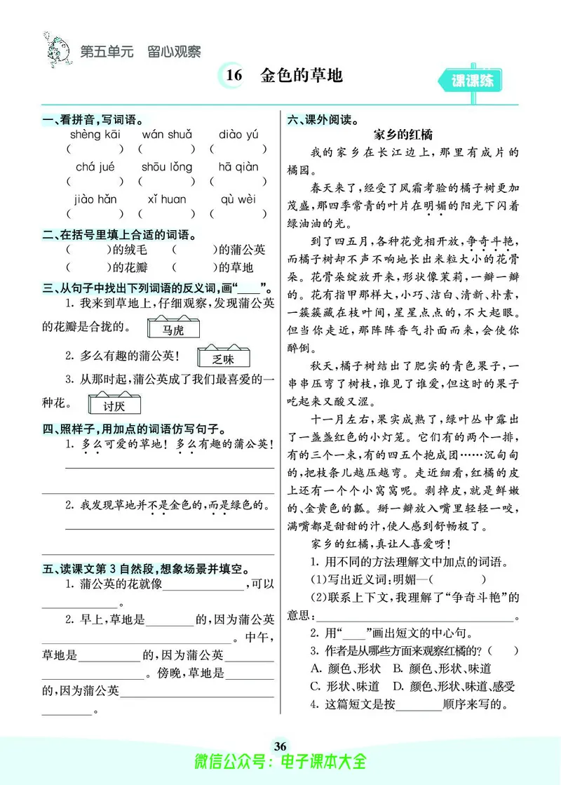 《素养提升手册》3上_26春四年级上下册人教版_四上英语合集人教版PEP英语四年级上册新教材（教学视频+课件+动画+音频+练习+教案）_17练习资料_小学英语（预习复习资料大礼包）