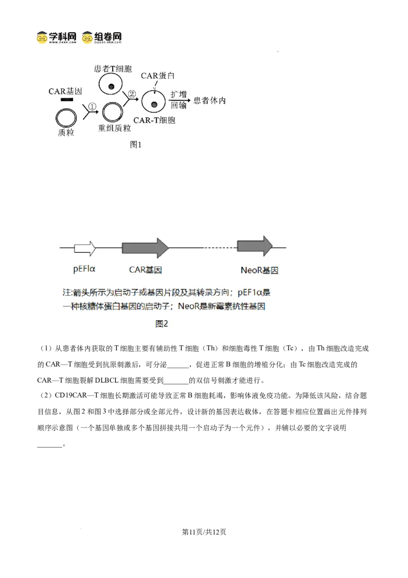 精品解析：2026届山东聊城市高三一模生物试题（原卷版）