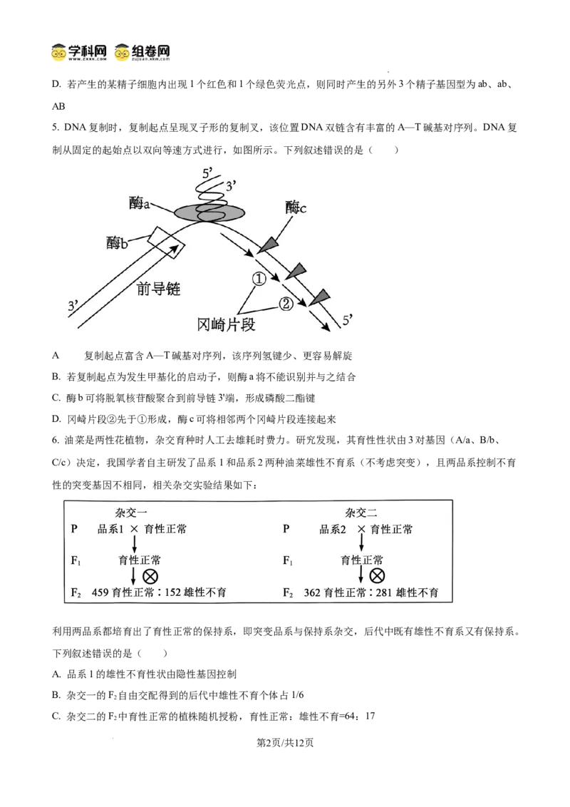 精品解析：2026届山东聊城市高三一模生物试题（原卷版）