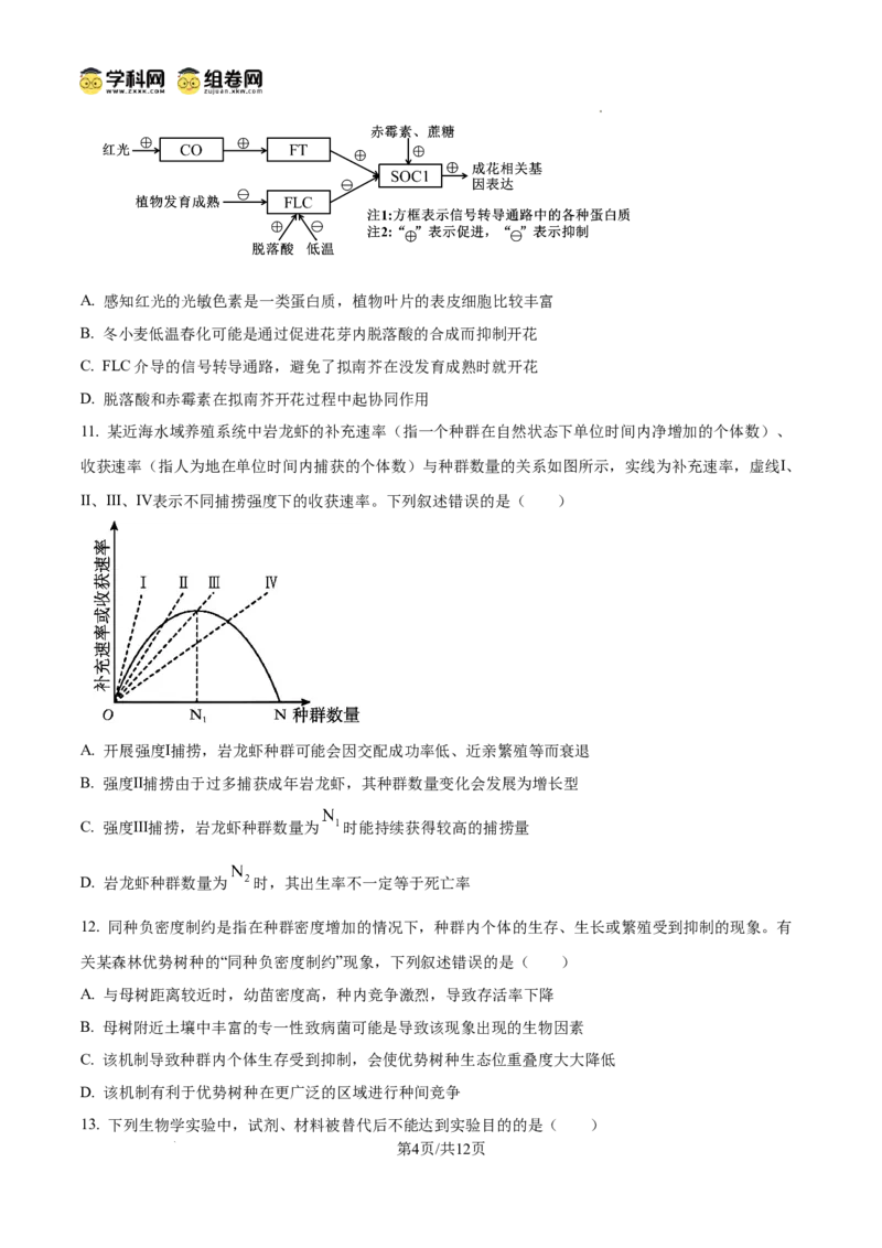 精品解析：2026届山东聊城市高三一模生物试题（原卷版）