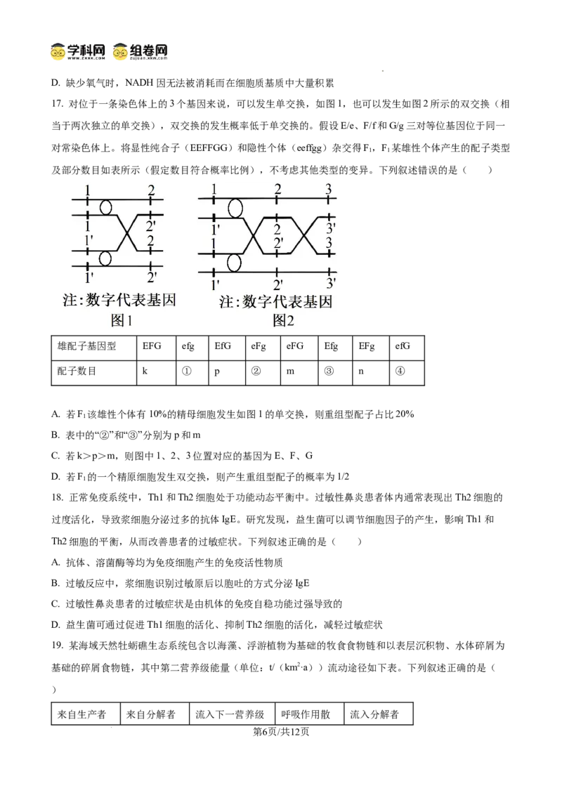 精品解析：2026届山东聊城市高三一模生物试题（原卷版）