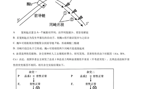精品解析：2026届山东聊城市高三一模生物试题（原卷版）