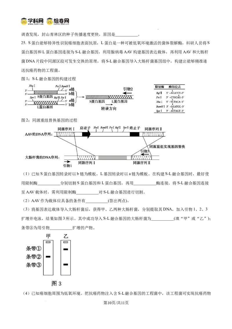 精品解析：2026届山东德州市高三下学期一模考试生物试题（原卷版）