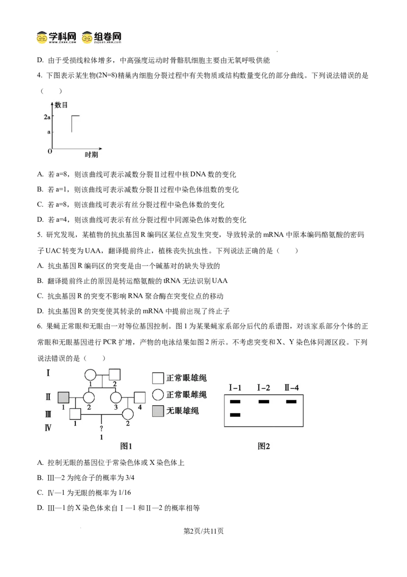 精品解析：2026届山东德州市高三下学期一模考试生物试题（原卷版）