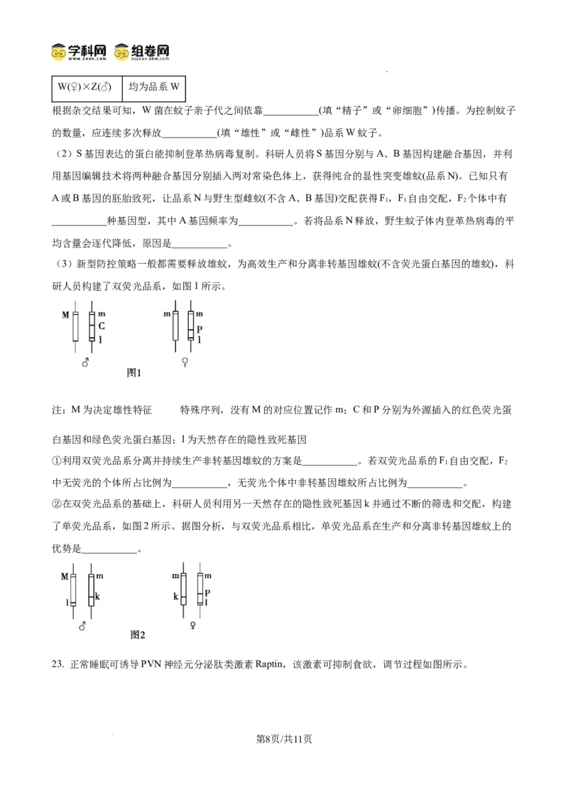 精品解析：2026届山东德州市高三下学期一模考试生物试题（原卷版）