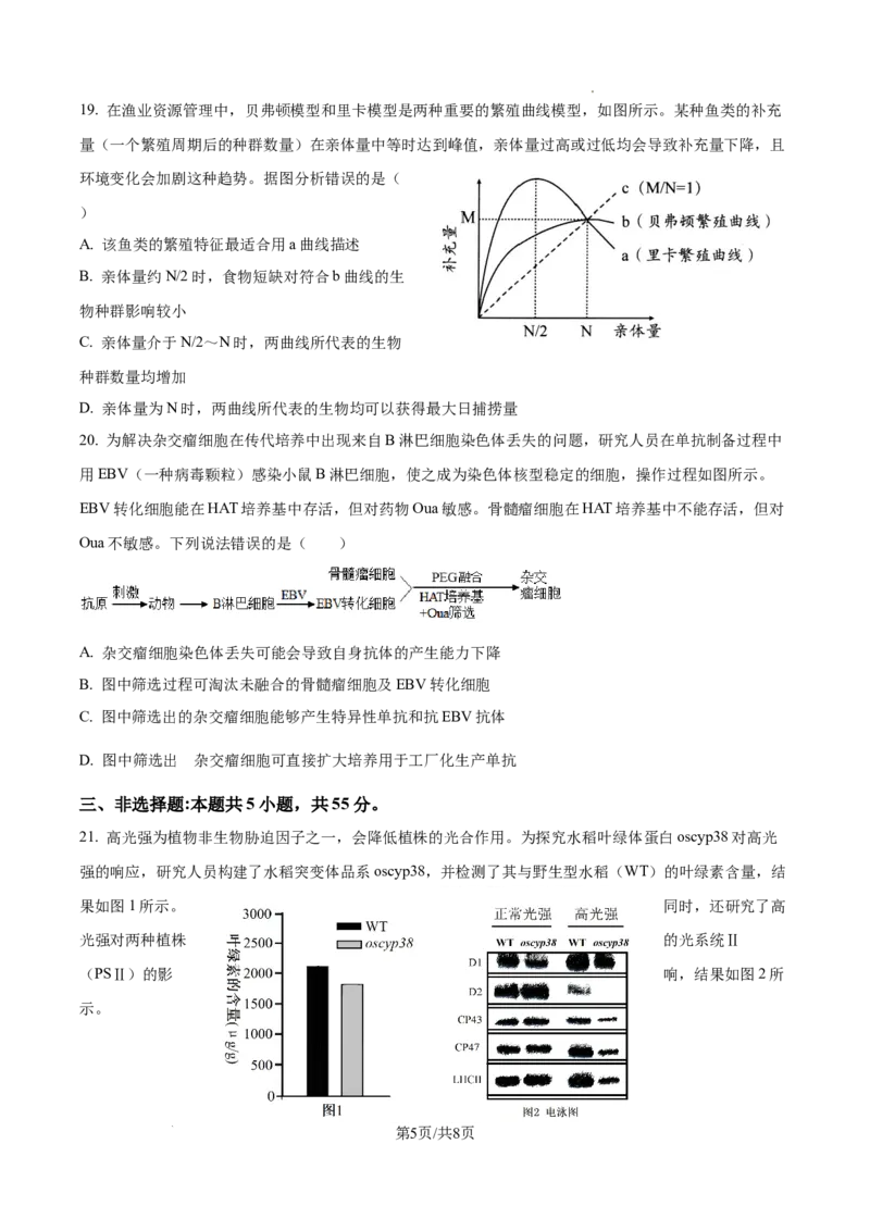 精品解析：2026届山东省日照市高三一模考试生物试题（原卷版）