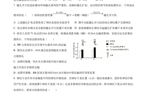 精品解析：2026届山东省日照市高三一模考试生物试题（原卷版）