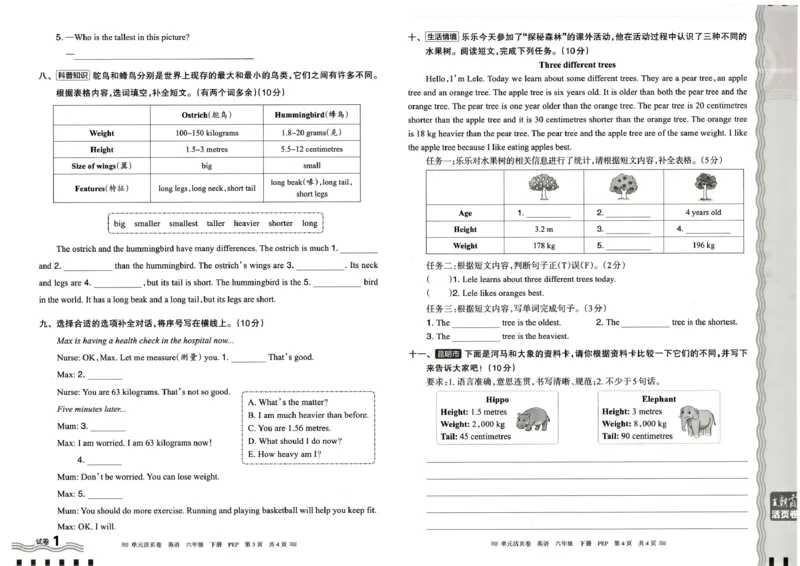六年级英语人教PEP版25春《王朝霞单元活页卷》_26春四年级上下册人教版_四上英语合集人教版PEP英语四年级上册新教材（教学视频+课件+动画+音频+练习+教案）_17练习资料_2025春