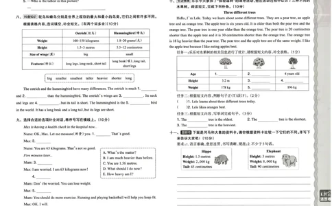 六年级英语人教PEP版25春《王朝霞单元活页卷》_26春四年级上下册人教版_四上英语合集人教版PEP英语四年级上册新教材（教学视频+课件+动画+音频+练习+教案）_17练习资料_2025春