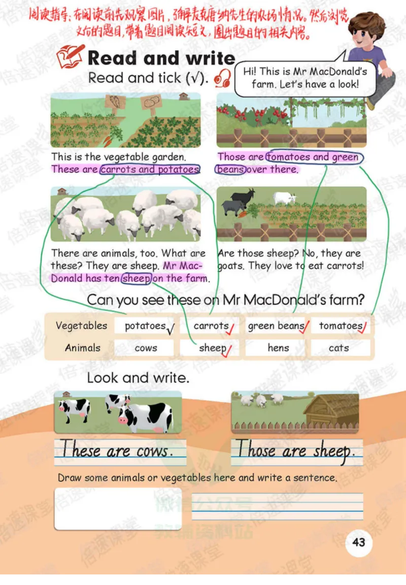 四年级下册英语人教PEP版课堂笔记_26春四年级上下册人教版_四上英语合集人教版PEP英语四年级上册新教材（教学视频+课件+动画+音频+练习+教案）_17练习资料_《课堂笔记》