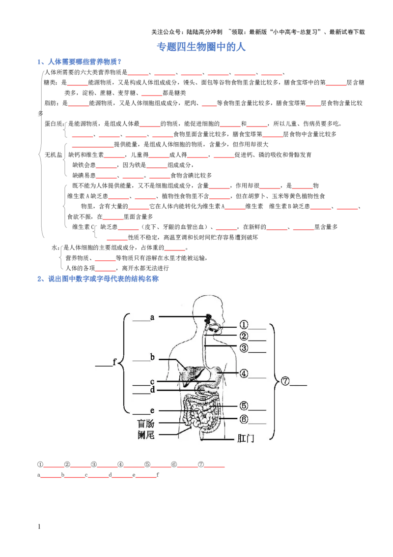 专题04生物圈中的人（填空版）_02中考总复习（2026版更新中）_08-生物-中考总复习_2025中考复习资料_2025年中考生物知识梳理_专题04生物圈中的人_专题04生物圈中的人