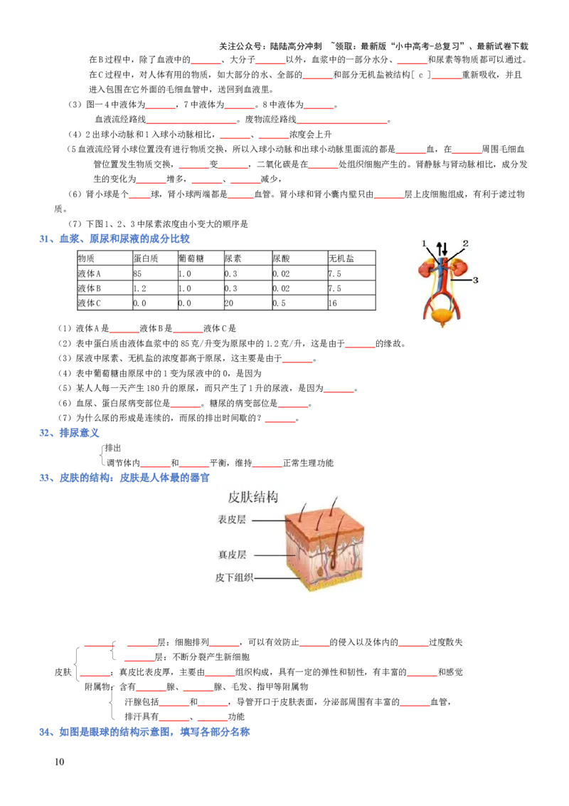 专题04生物圈中的人（填空版）_02中考总复习（2026版更新中）_08-生物-中考总复习_2025中考复习资料_2025年中考生物知识梳理_专题04生物圈中的人_专题04生物圈中的人
