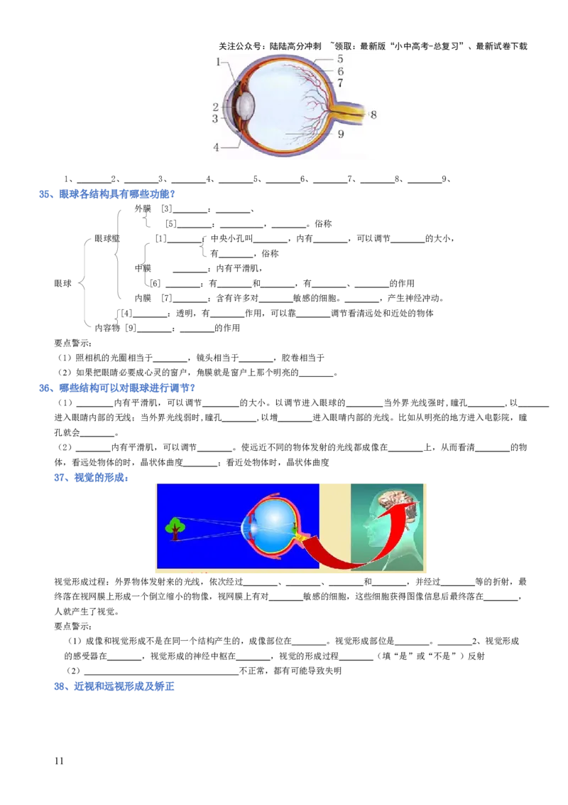 专题04生物圈中的人（填空版）_02中考总复习（2026版更新中）_08-生物-中考总复习_2025中考复习资料_2025年中考生物知识梳理_专题04生物圈中的人_专题04生物圈中的人