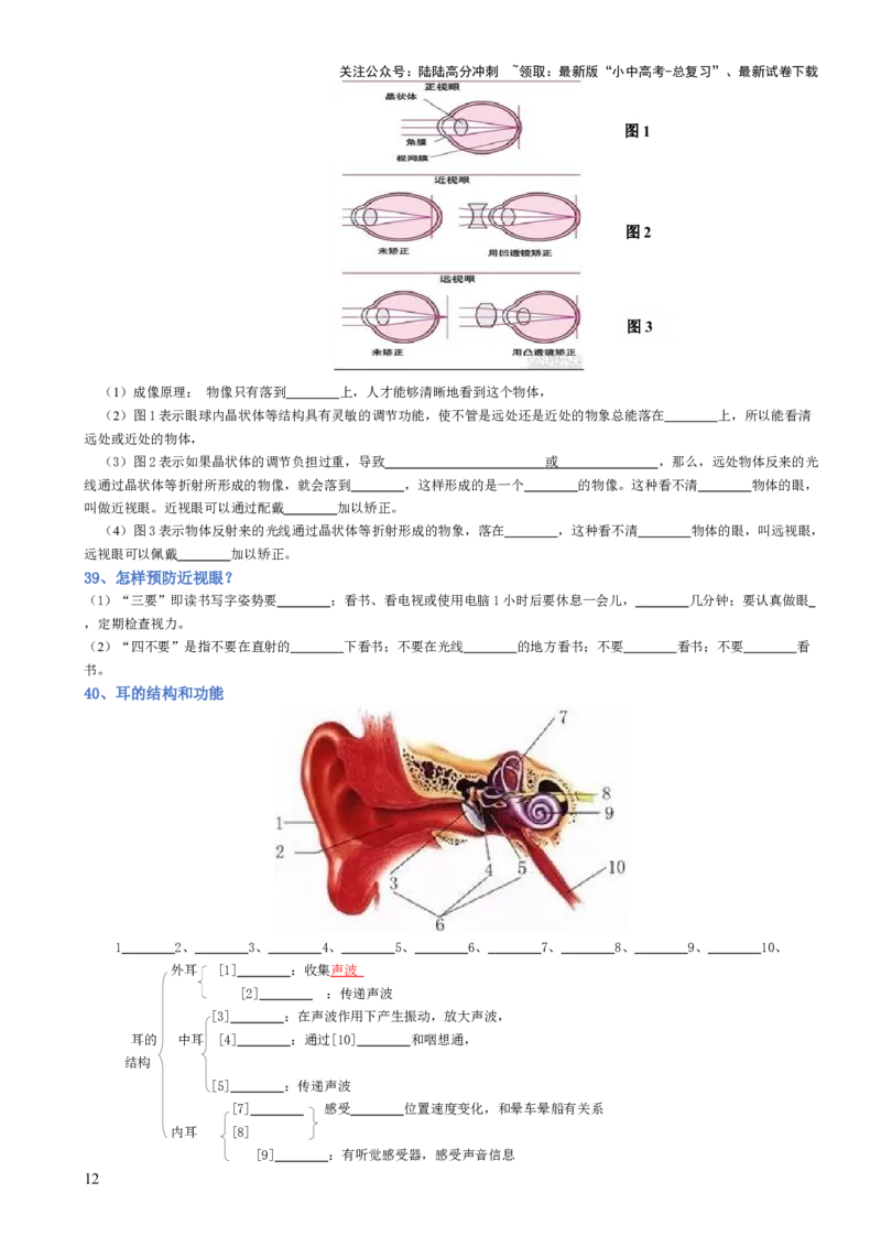专题04生物圈中的人（填空版）_02中考总复习（2026版更新中）_08-生物-中考总复习_2025中考复习资料_2025年中考生物知识梳理_专题04生物圈中的人_专题04生物圈中的人