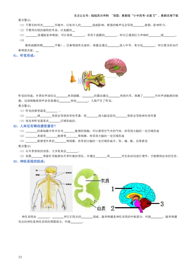 专题04生物圈中的人（填空版）_02中考总复习（2026版更新中）_08-生物-中考总复习_2025中考复习资料_2025年中考生物知识梳理_专题04生物圈中的人_专题04生物圈中的人
