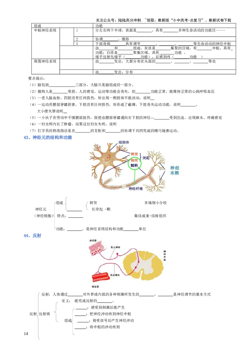 专题04生物圈中的人（填空版）_02中考总复习（2026版更新中）_08-生物-中考总复习_2025中考复习资料_2025年中考生物知识梳理_专题04生物圈中的人_专题04生物圈中的人