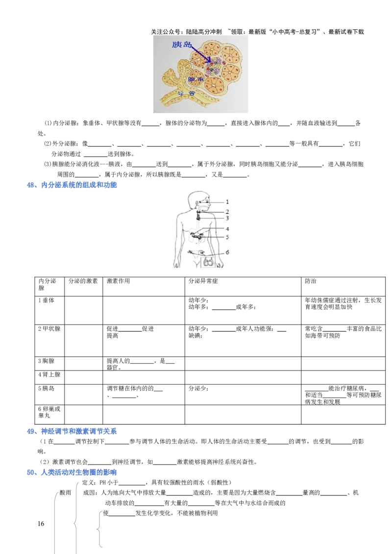 专题04生物圈中的人（填空版）_02中考总复习（2026版更新中）_08-生物-中考总复习_2025中考复习资料_2025年中考生物知识梳理_专题04生物圈中的人_专题04生物圈中的人