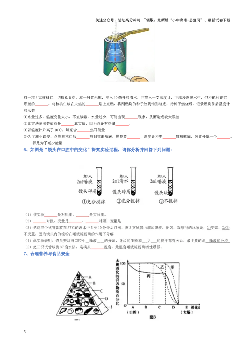 专题04生物圈中的人（填空版）_02中考总复习（2026版更新中）_08-生物-中考总复习_2025中考复习资料_2025年中考生物知识梳理_专题04生物圈中的人_专题04生物圈中的人