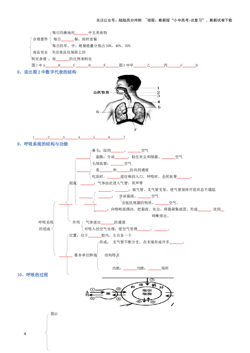 专题04生物圈中的人（填空版）_02中考总复习（2026版更新中）_08-生物-中考总复习_2025中考复习资料_2025年中考生物知识梳理_专题04生物圈中的人_专题04生物圈中的人