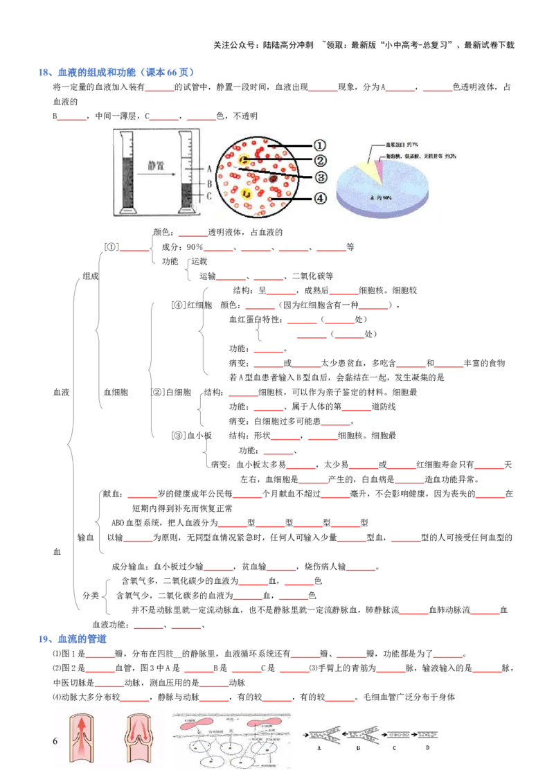 专题04生物圈中的人（填空版）_02中考总复习（2026版更新中）_08-生物-中考总复习_2025中考复习资料_2025年中考生物知识梳理_专题04生物圈中的人_专题04生物圈中的人