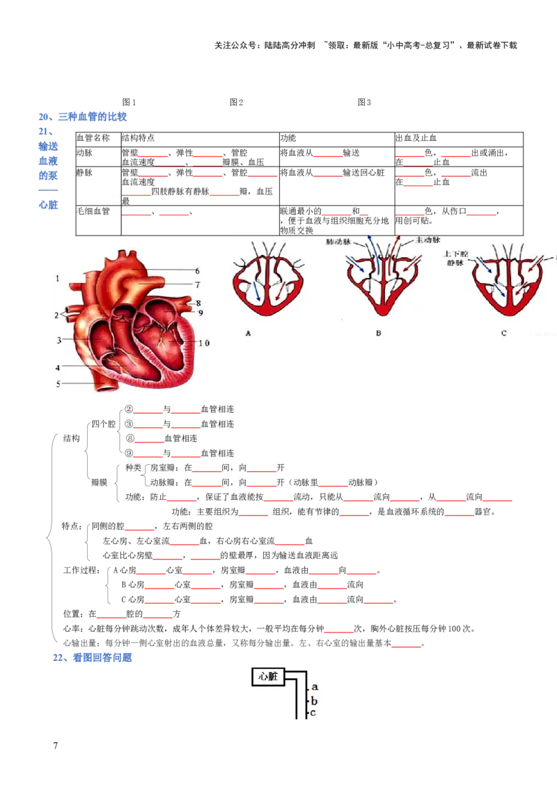 专题04生物圈中的人（填空版）_02中考总复习（2026版更新中）_08-生物-中考总复习_2025中考复习资料_2025年中考生物知识梳理_专题04生物圈中的人_专题04生物圈中的人
