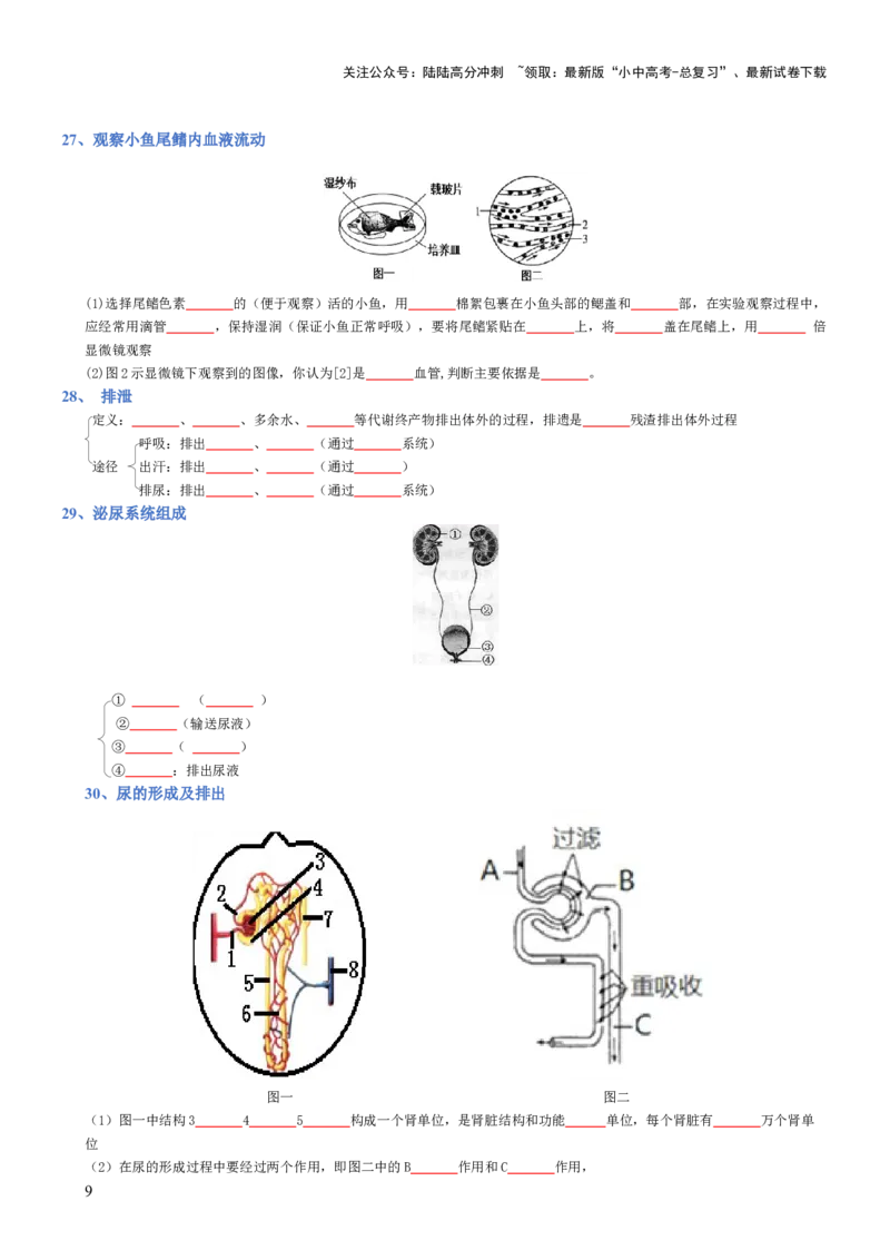 专题04生物圈中的人（填空版）_02中考总复习（2026版更新中）_08-生物-中考总复习_2025中考复习资料_2025年中考生物知识梳理_专题04生物圈中的人_专题04生物圈中的人