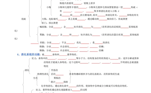 专题04生物圈中的人（填空版）_02中考总复习（2026版更新中）_08-生物-中考总复习_2025中考复习资料_2025年中考生物知识梳理_专题04生物圈中的人_专题04生物圈中的人