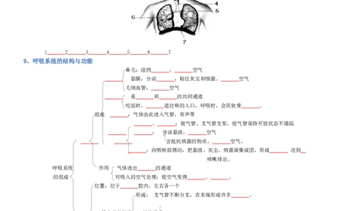 专题04生物圈中的人（填空版）_02中考总复习（2026版更新中）_08-生物-中考总复习_2025中考复习资料_2025年中考生物知识梳理_专题04生物圈中的人_专题04生物圈中的人