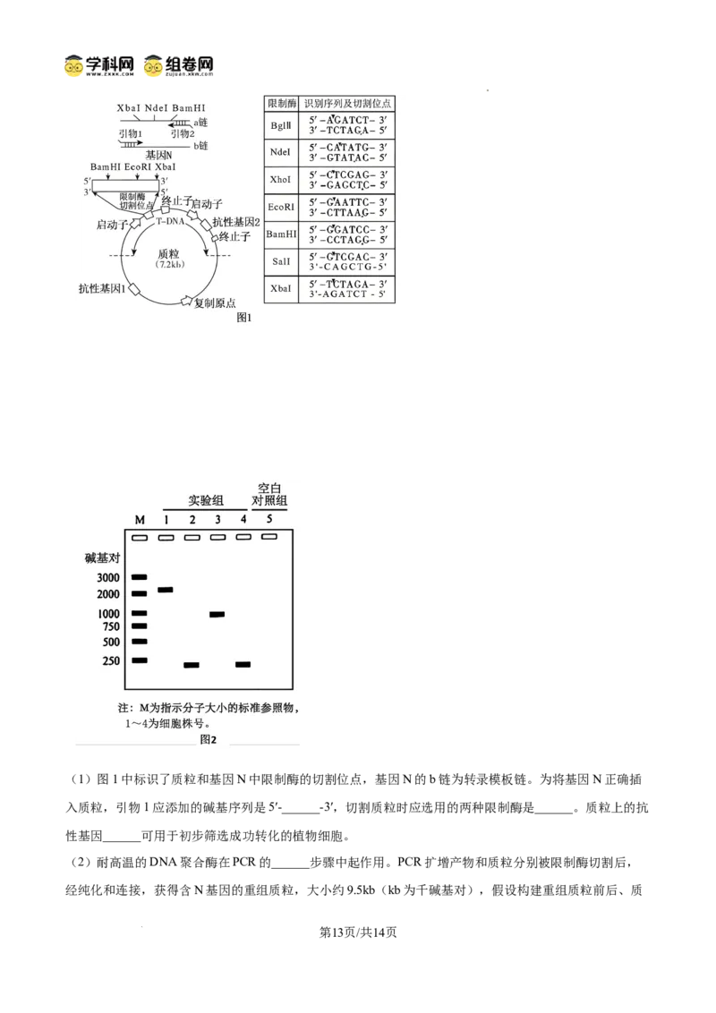 精品解析：2026届山东临沂市高三下学期普通高中学业水平等级考试模拟生物试题（原卷版）
