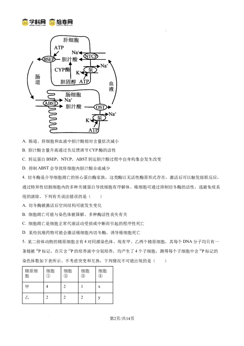 精品解析：2026届山东临沂市高三下学期普通高中学业水平等级考试模拟生物试题（原卷版）
