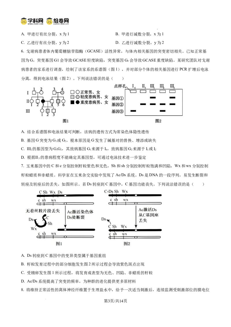 精品解析：2026届山东临沂市高三下学期普通高中学业水平等级考试模拟生物试题（原卷版）