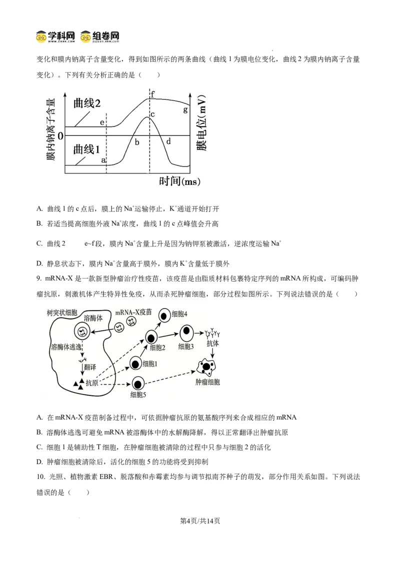 精品解析：2026届山东临沂市高三下学期普通高中学业水平等级考试模拟生物试题（原卷版）