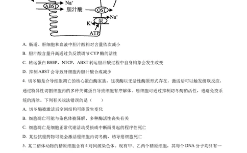 精品解析：2026届山东临沂市高三下学期普通高中学业水平等级考试模拟生物试题（原卷版）
