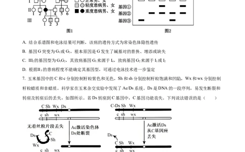 精品解析：2026届山东临沂市高三下学期普通高中学业水平等级考试模拟生物试题（原卷版）