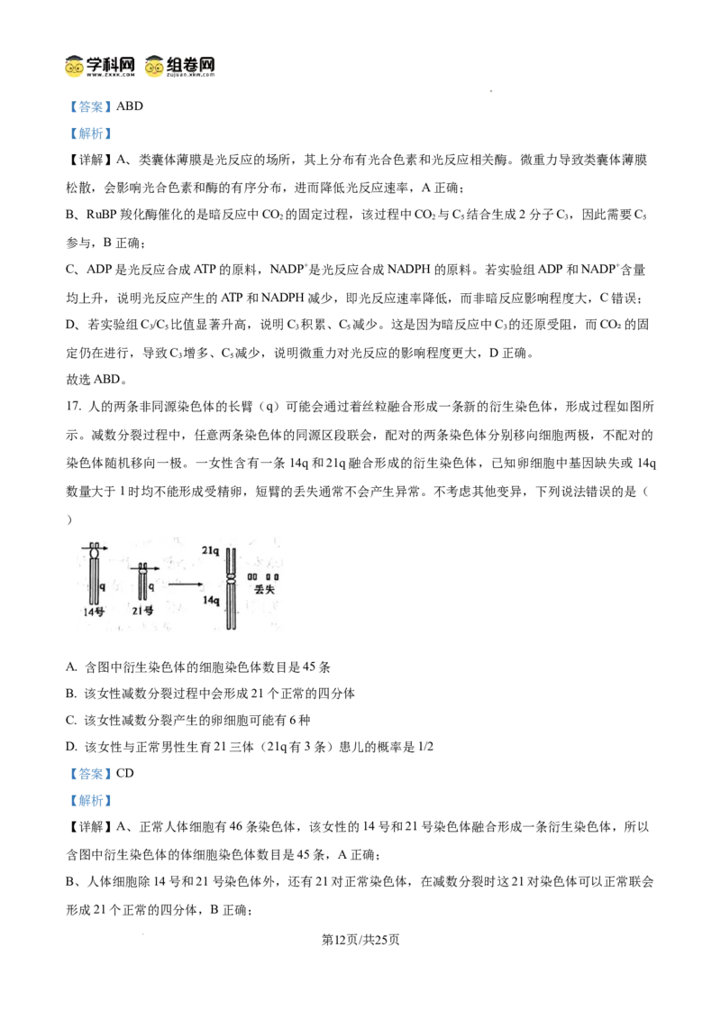 精品解析：2026届山东省东营市高三一模生物试题（解析版）